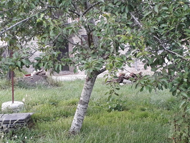 bienfaits de la geologie